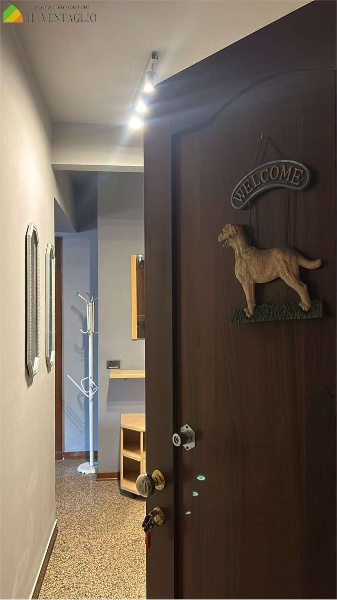 appartamento in affitto a Sassuolo