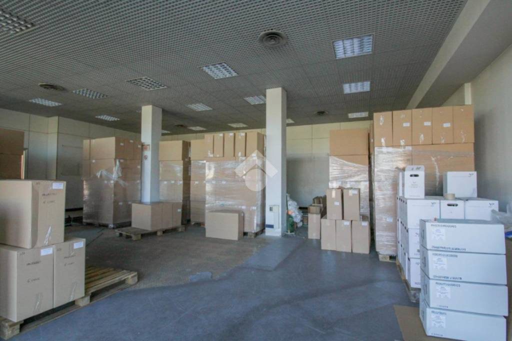 negozio in affitto a Sassuolo