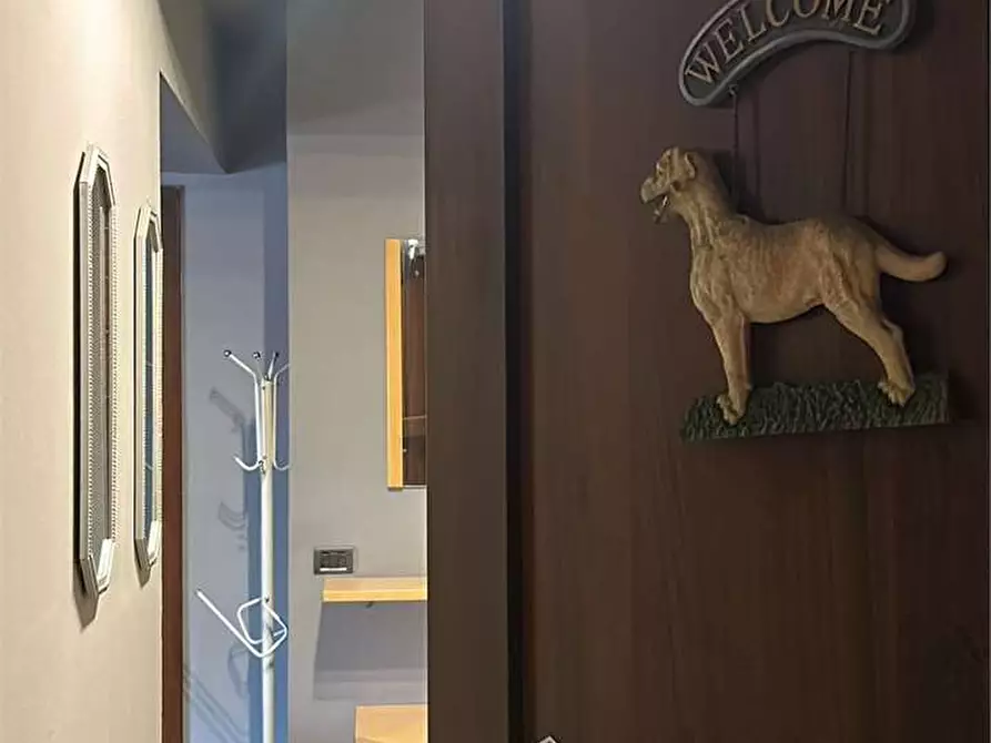 appartamento in affitto a Sassuolo