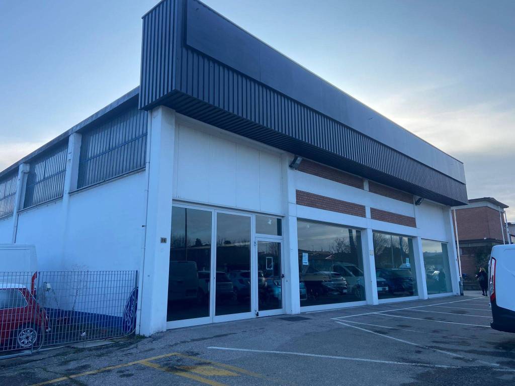 locale commerciale in affitto a Sassuolo