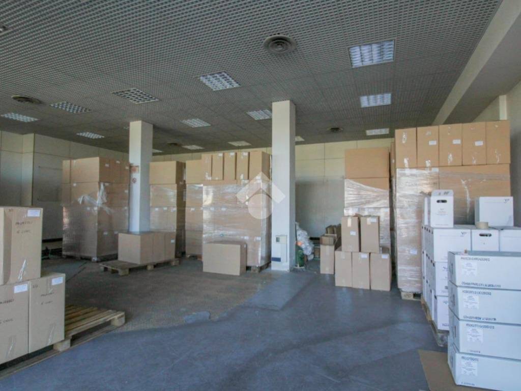 negozio in affitto a Sassuolo
