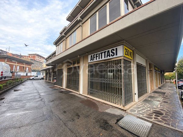 appartamento in affitto a Sassuolo