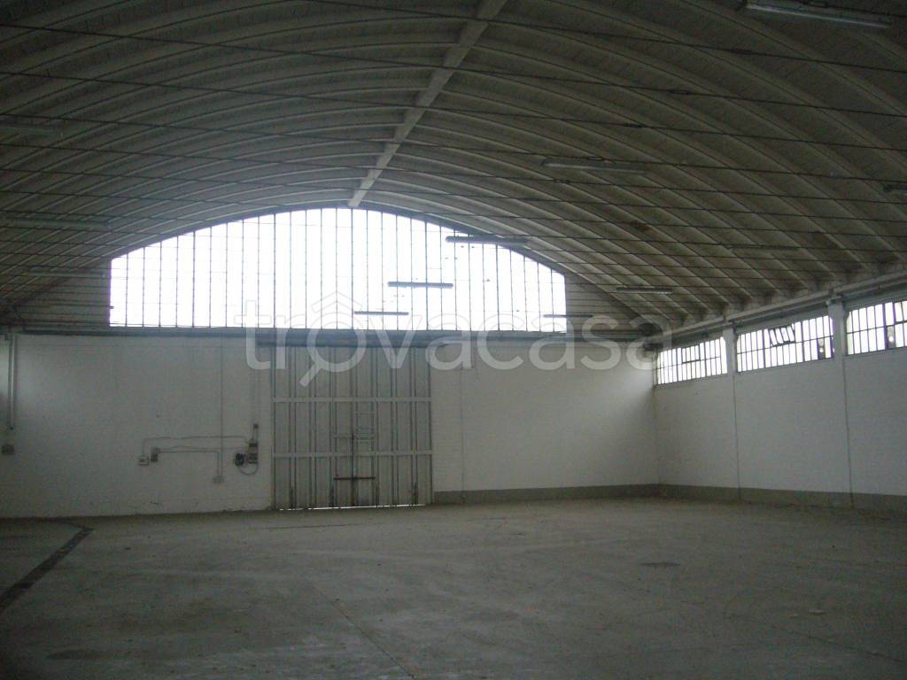 appartamento in affitto a Sassuolo
