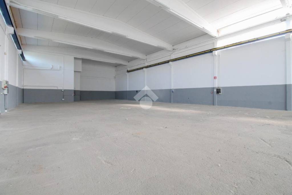 appartamento in affitto a Sassuolo