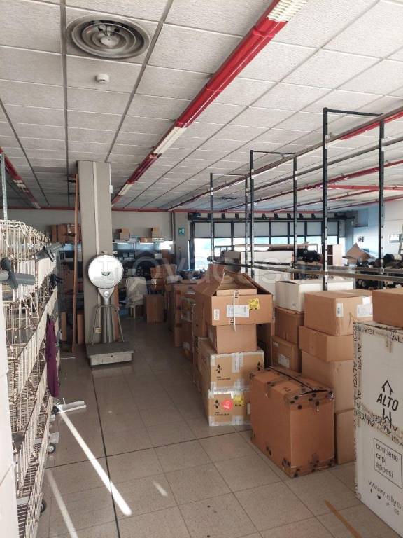 locale commerciale in affitto a Sassuolo