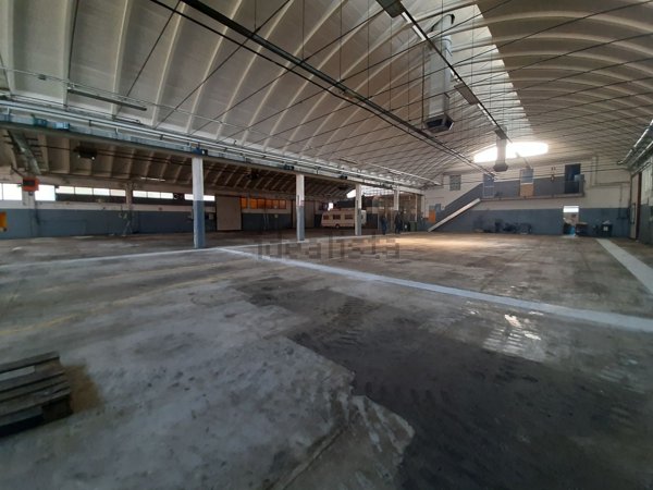 capannone in affitto a Savignano sul Panaro