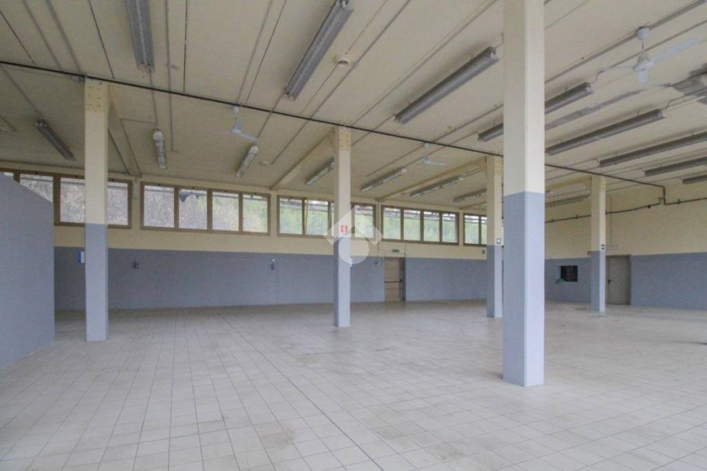 negozio in affitto a Savignano sul Panaro