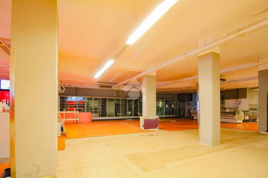 negozio in affitto a Savignano sul Panaro in zona Formica