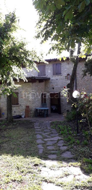 appartamento in affitto a Serramazzoni in zona Riccò
