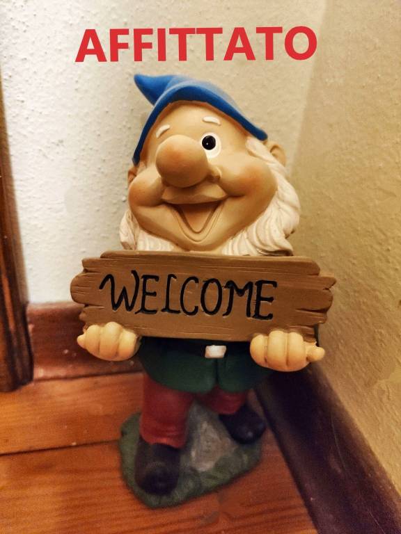 appartamento in affitto a Sestola in zona Pian del Falco