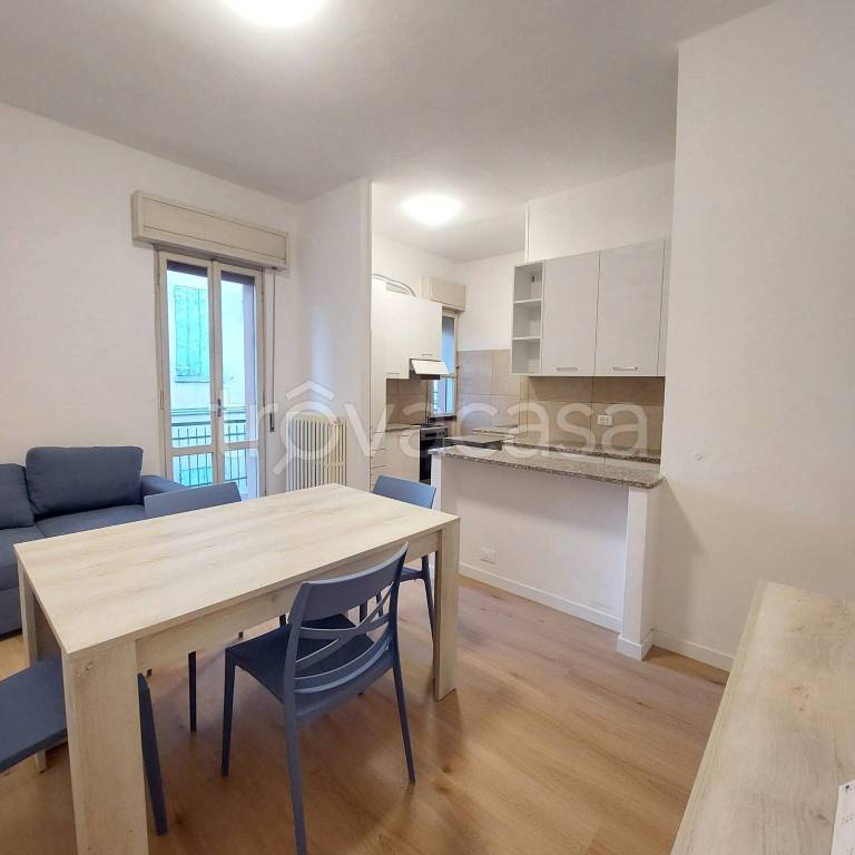 appartamento in affitto a Spilamberto
