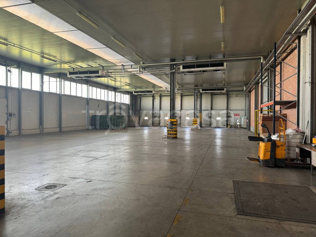 capannone in affitto a Vignola