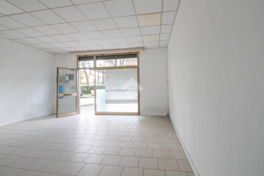 negozio in affitto a Vignola