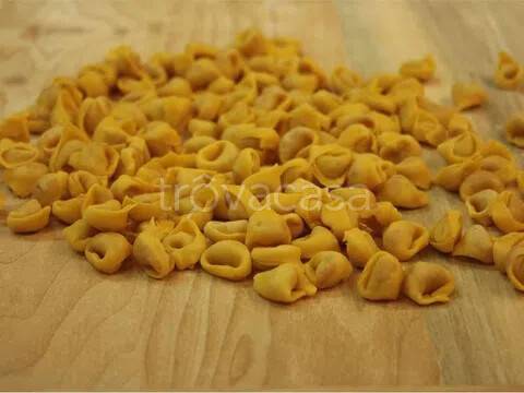 appartamento in affitto a Vignola
