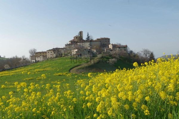 appartamento in affitto a Zocca in zona Monteombraro