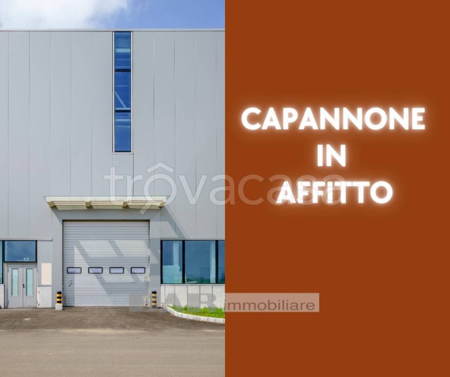 locale commerciale in affitto ad Argelato