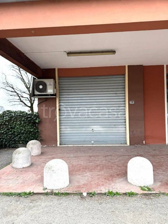 appartamento in affitto ad Argelato in zona Casadio