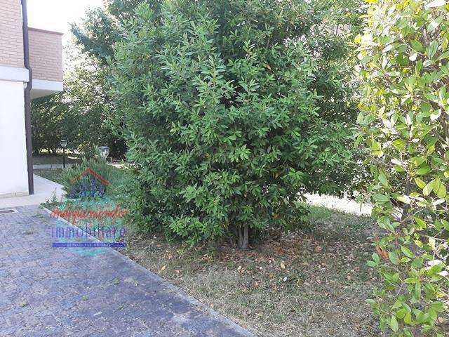 appartamento in affitto a Bentivoglio