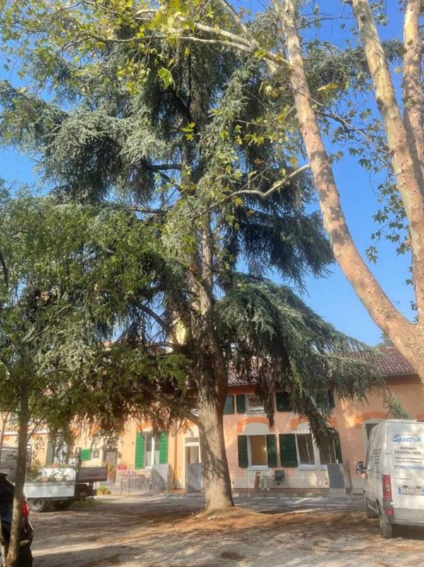 appartamento in affitto a Bologna in zona Saffi