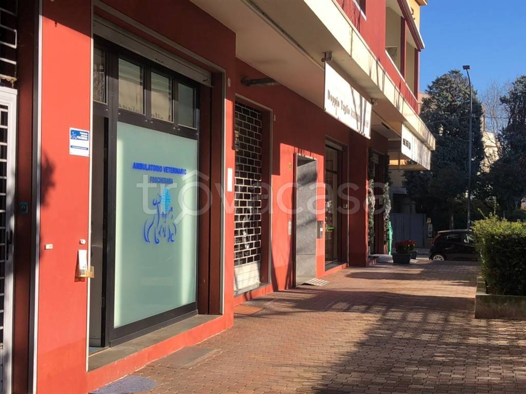 appartamento in affitto a Bologna