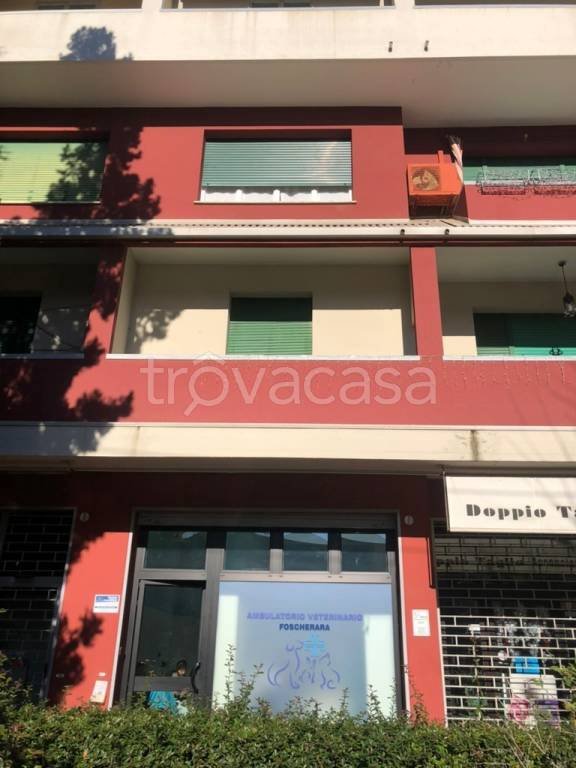 appartamento in affitto a Bologna