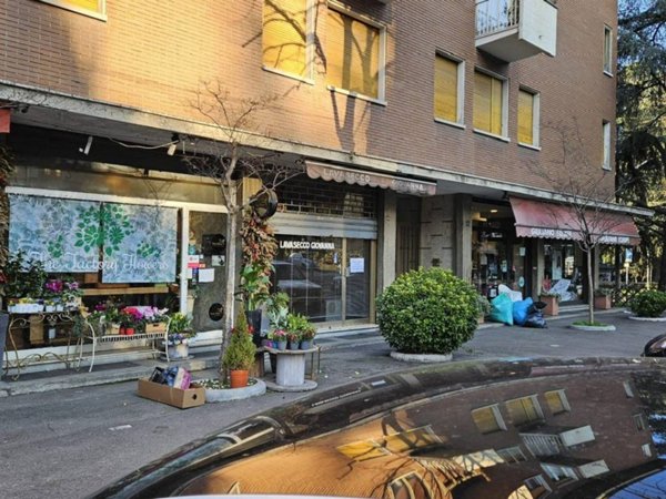 negozio in affitto a Bologna in zona Colli