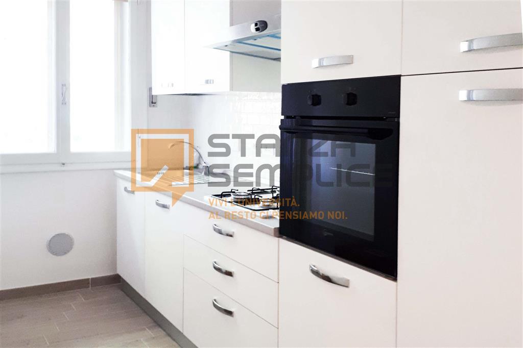 appartamento in affitto a Bologna