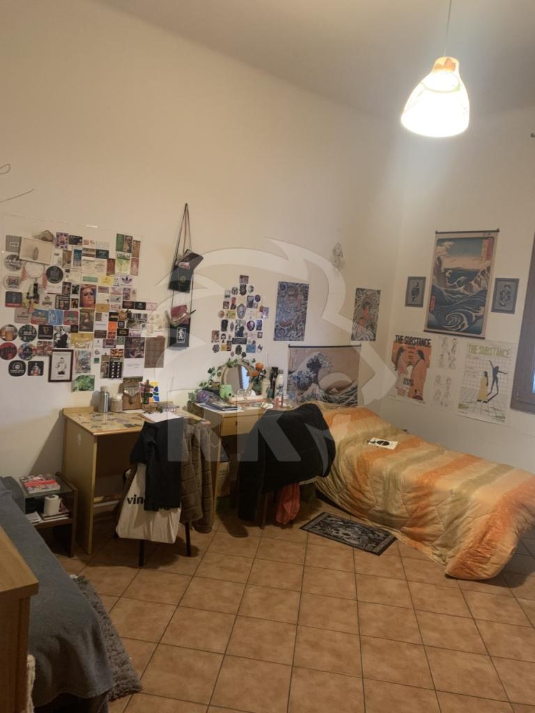 appartamento in affitto a Bologna in zona Bolognina
