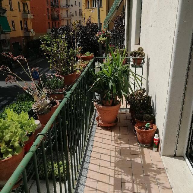 appartamento in affitto a Bologna in zona Saragozza