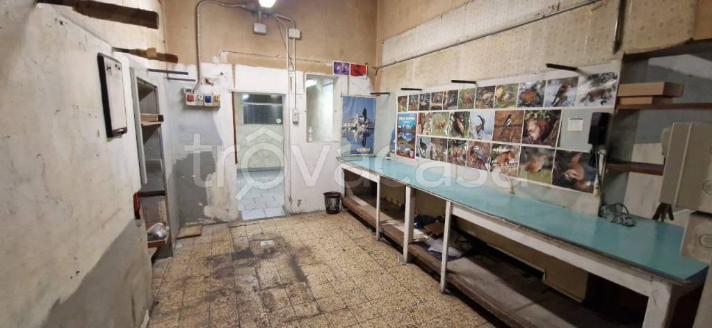 negozio in affitto a Bologna in zona San Vitale