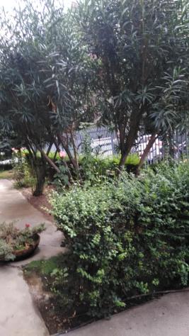 appartamento in affitto a Bologna in zona Murri