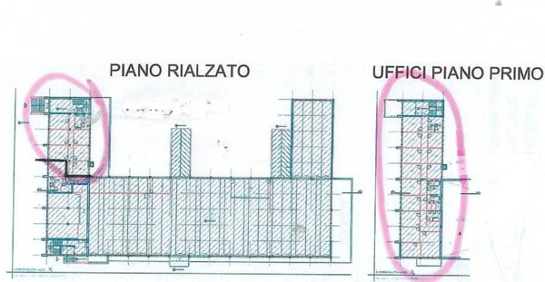 immagine annuncio 0 di 2