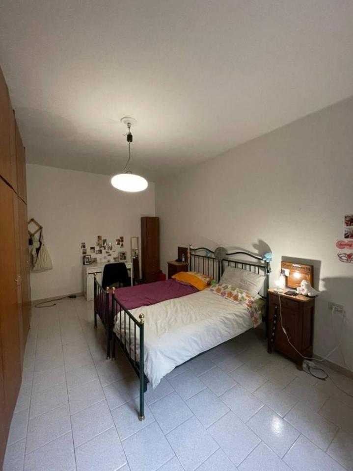 negozio in affitto a Bologna in zona Centro Storico