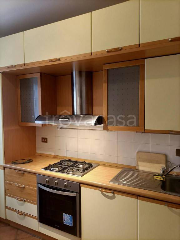 appartamento in affitto a Bologna in zona Saffi