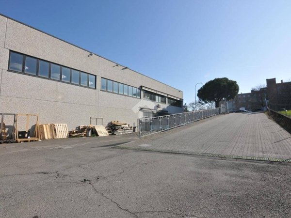 immagine annuncio 0 di 5