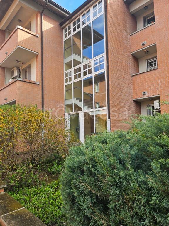 appartamento in affitto a Bologna in zona Murri
