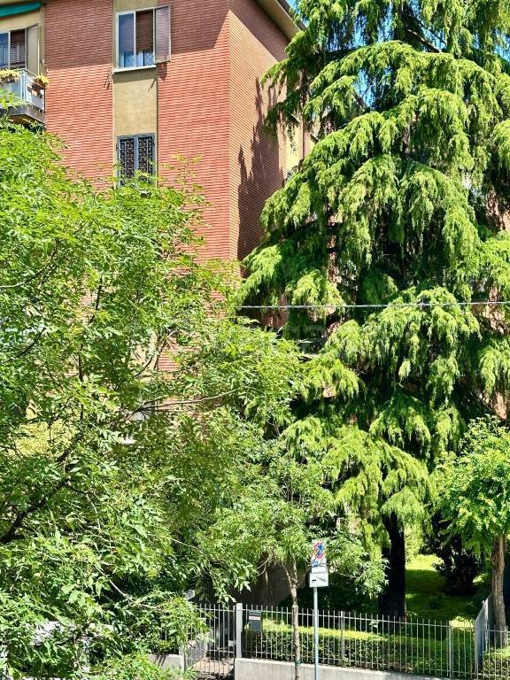appartamento in affitto a Bologna in zona Murri