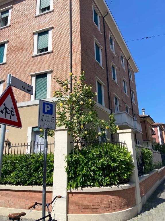 appartamento in affitto a Bologna
