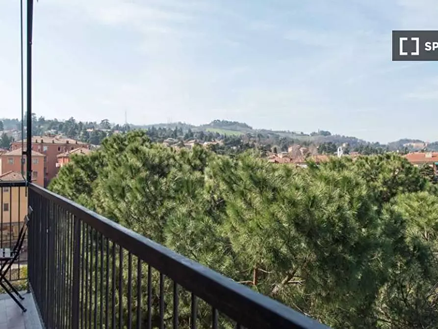 appartamento in affitto a Bologna