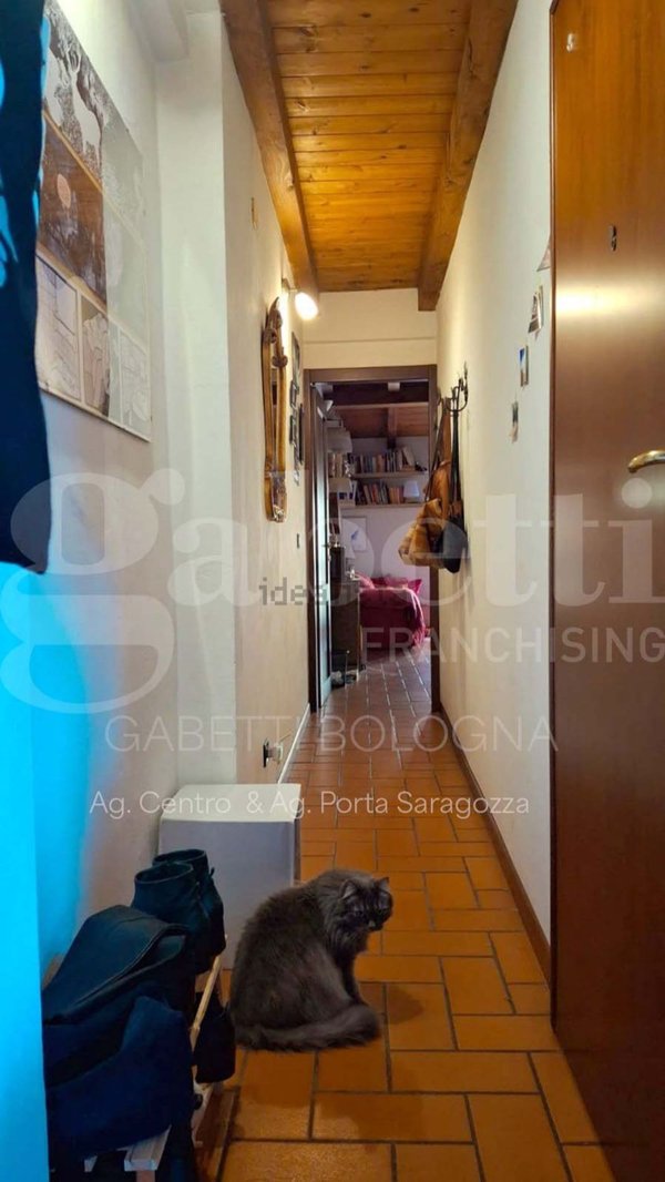 appartamento in affitto a Bologna in zona San Vitale