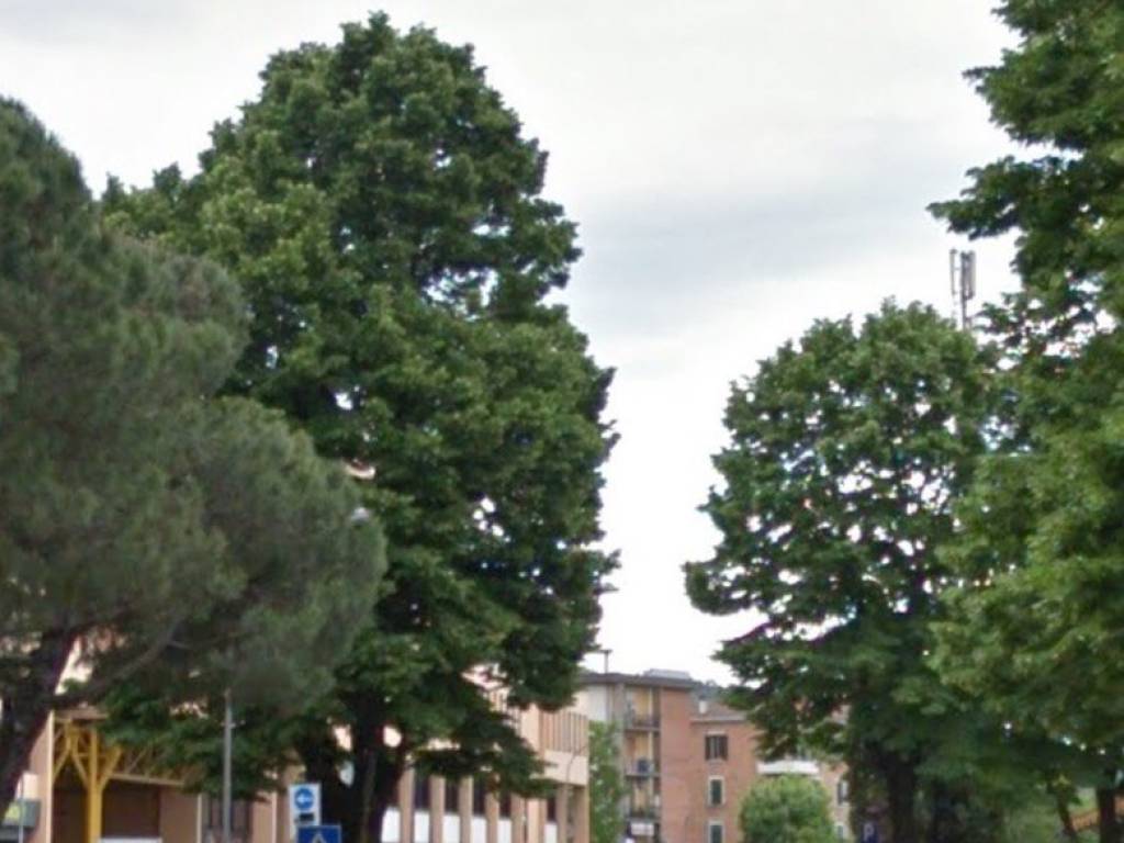 appartamento in affitto a Bologna in zona San Vitale
