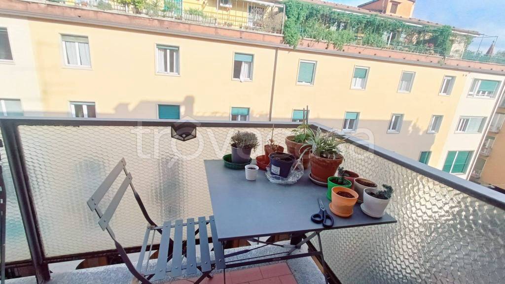 appartamento in affitto a Bologna in zona San Vitale