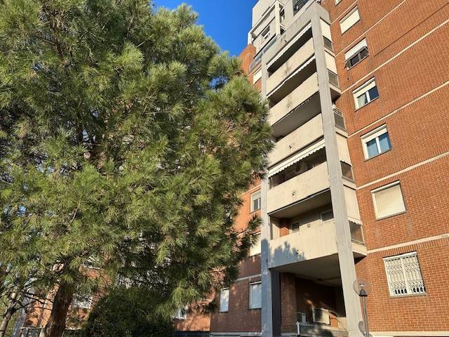 appartamento in affitto a Bologna in zona San Vitale