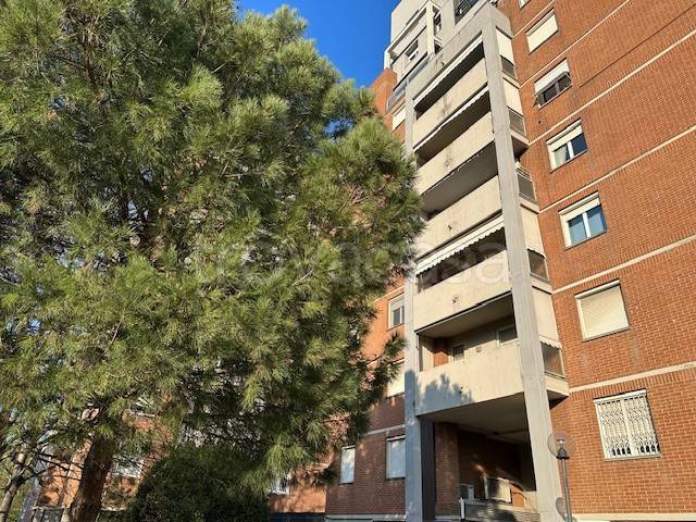 appartamento in affitto a Bologna in zona San Vitale