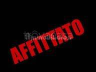 negozio in affitto a Bologna in zona Centro Storico