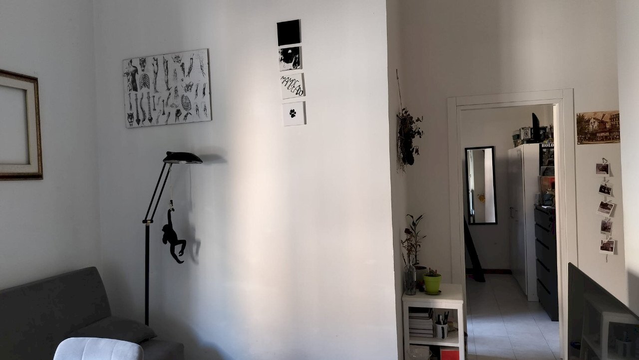 appartamento in affitto a Bologna