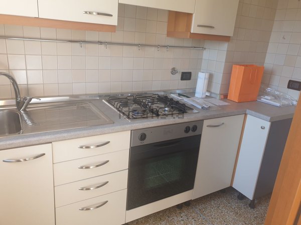 appartamento in affitto a Bologna