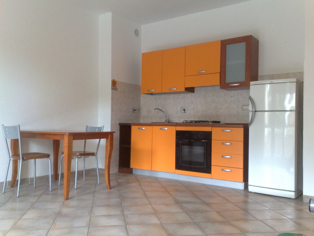 appartamento in affitto a Bologna in zona San Vitale