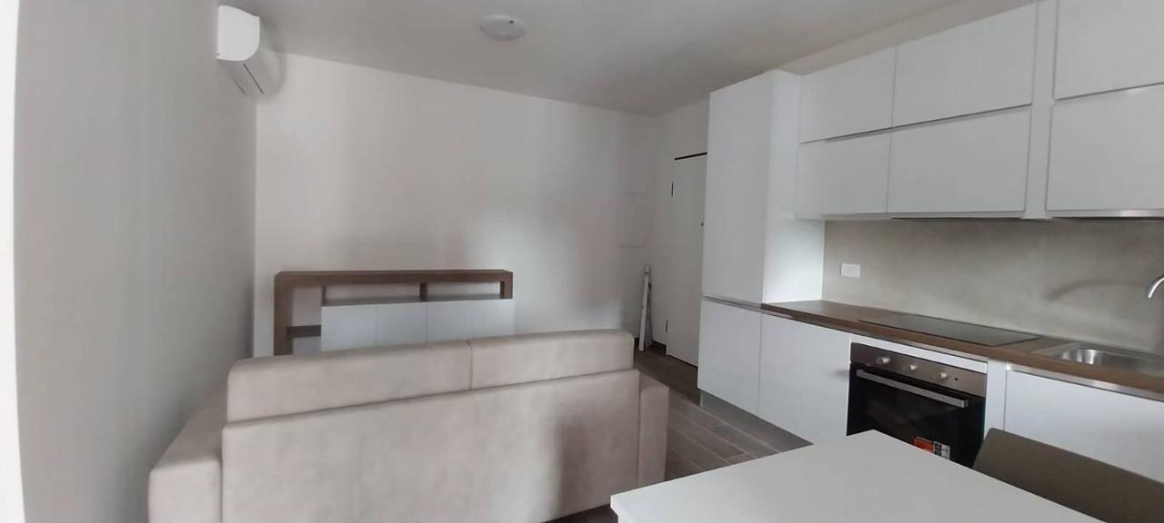 appartamento in affitto a Bologna in zona Saffi