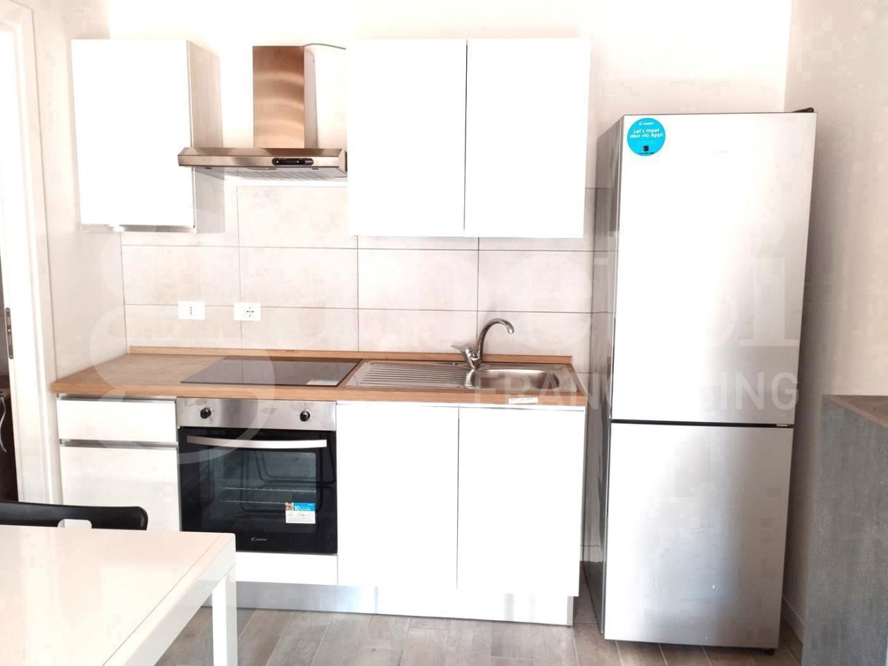 appartamento in affitto a Bologna in zona Borgo Panigale